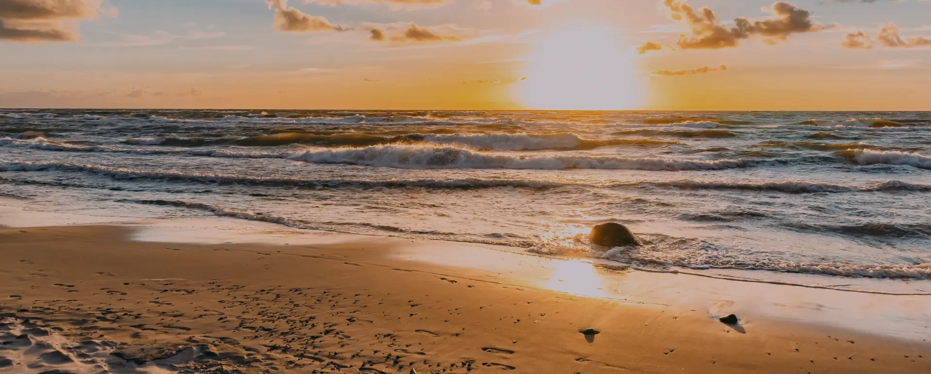 7. Odnowa biologiczna